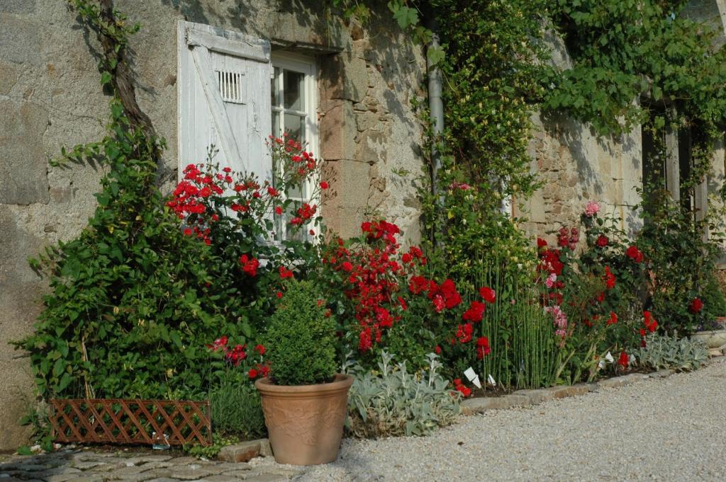 Chateau De L'Oiseliniere Bed & Breakfast Gorges  Luaran gambar