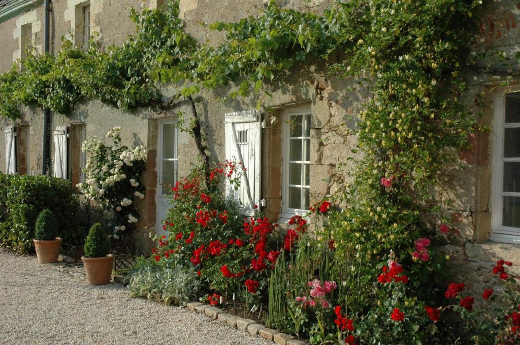 Chateau De L'Oiseliniere Bed & Breakfast Gorges  Luaran gambar