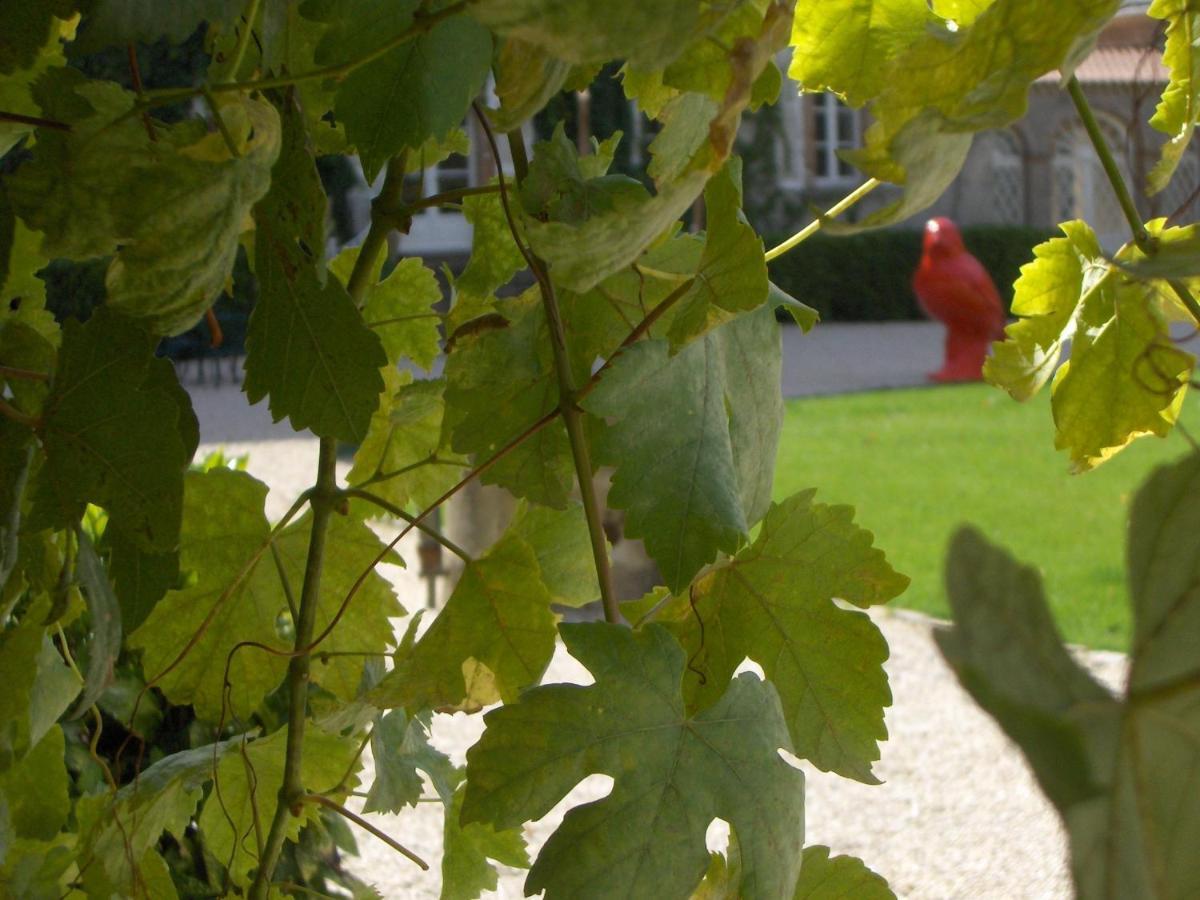Chateau De L'Oiseliniere Bed & Breakfast Gorges  Luaran gambar
